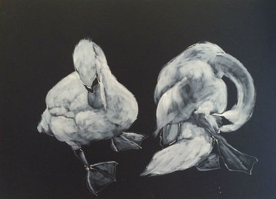 White Ink on Black paper - Two Swans by Diana Shepherd