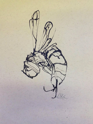 Pen and Ink line drawing - Wasp by Diana Shepherd