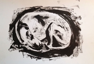 Ink on paper - Sleeping Whippet by Diana Shepherd