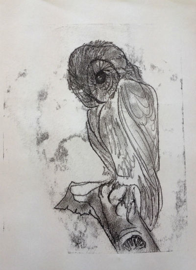 Printed etching on paper - Owl by Diana Shepherd