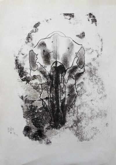 Etched print - Skull by Diana Shepherd